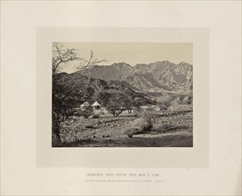 Encampment Under Shittim Trees, Wady El Ithm; Francis Frith, English, 1822 - 1898, Sinai Peninsula, Egypt; about 1865; Albumen