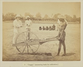 Luggie , measuring lands for cultivation, Oscar Mallitte, British, about 1829 - 1905, active Allahabad, India 1870s, Allahabad