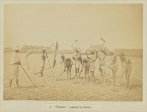 Tumnie , turning up lands, Oscar Mallitte, British, about 1829 - 1905, active Allahabad, India 1870s, Allahabad, India; 1877