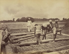 Loading a vat with plant; Oscar Mallitte, British, about 1829 - 1905, active Allahabad, India 1870s, Allahabad, India; 1877