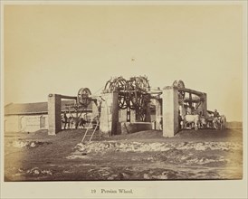 Persian Wheel; Oscar Mallitte, British, about 1829 - 1905, active Allahabad, India 1870s, Allahabad, India; 1877; Albumen