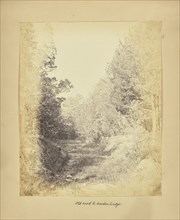 Old Road to Wooden Bridge; Possibly Alfred Booth, English, 1834 - 1914, and Thomas E. Jevons, American, born England, 1841