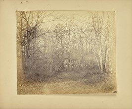 Clearing in a wood; Possibly Alfred Booth, English, 1834 - 1914, and Thomas E. Jevons American, born England, 1841 - 1919