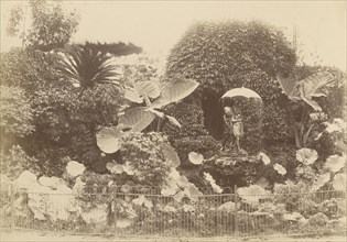 Garden with Umbrella Fountain; Unknown maker; China; 1870s - 1880s; Albumen silver print
