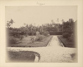 Singapore; Unknown maker; Singapore; 1870s - 1880s; Albumen silver print