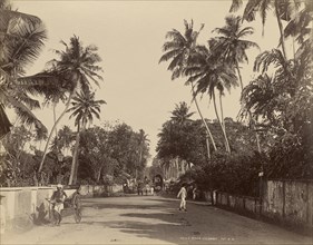 Galle Road, Colombo; The Colombo Apothecaries Co., Ltd., Sri Lankan, about 1880 - 1920s, Colombo, Sri Lanka; after 1892