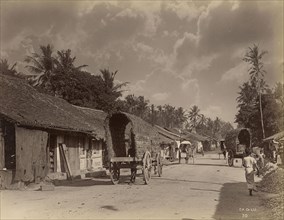 Colombo; The Colombo Apothecaries Co., Ltd., Sri Lankan, about 1880 - 1920s, Colombo, Sri Lanka; after 1892; Albumen silver