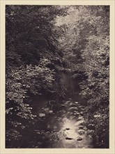 Forest stream; Arthur Brown, British, active 1850s, Newcastle upon Tyne, England; 1878; Carbon print; 9.8 x 7.1 cm