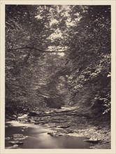 Forest stream; Arthur Brown, British, active 1850s, Saltburn-on-the-Sea, North Yorkshire, England; 1878; Carbon print
