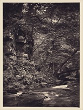 Bend in forest stream; Arthur Brown, British, active 1850s, Saltburn-on-the-Sea, North Yorkshire, England; 1878; Carbon print