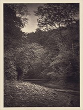 Forest scene; Arthur Brown, British, active 1850s, Saltburn-on-the-Sea, North Yorkshire, England; 1878; Carbon print