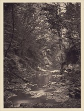 Forest stream; Arthur Brown, British, active 1850s, Saltburn-on-the-Sea, North Yorkshire, England; 1878; Carbon print