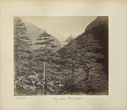 Snowy Peaks near Gangootri, from Bhairamgatri; Samuel Bourne, English, 1834 - 1912, Bhaironghati, Uttarakhand, India, Asia