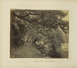 Nynee Tal; Willows and Rocks at the South end of the Lake; Samuel Bourne, English, 1834 - 1912, Naini TÄl, Uttarakhand, India