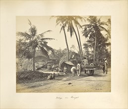 Calcutta; Rustic Scenes and Rural Life in Bengal; Samuel Bourne, English, 1834 - 1912, Calcutta, West Bengal, India, Asia