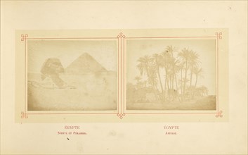 Sphinx et Pyramide; Félix Bonfils, French, 1831 - 1885, Alais, France; about 1878; Albumen silver print