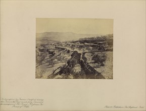 Bethlehem, The Shepherds' Field; Francis Bedford, English, 1815,1816 - 1894, London, England; April 3, 1862; Albumen silver