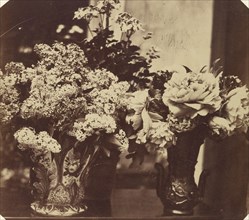 Vases of Flowers; French, Louis Désiré Blanquart-Evrard, French, 1802 - 1872, Lille, France; 1853; Albumen silver print