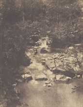 Forest Scene with Stream; French, Louis Désiré Blanquart-Evrard, French, 1802 - 1872, Lille, France; 1853; Salted paper print