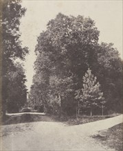 Croisement d'allées, dans la fôret; French, Louis Désiré Blanquart-Evrard, French, 1802 - 1872, Lille, France; 1853; Salted