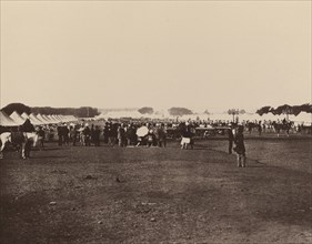 H.E. The Viceroy's Camp; Bourne & Shepherd, English, founded 1863, London, England; 1877; Woodburytype; 14.8 x 18.1 cm