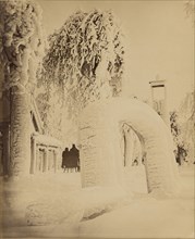 Niagara; United States; 1860s - 1880s; Albumen silver print