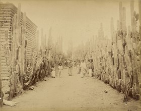 Mexico. Street of Village San Juan, State of Mexico; Abel Briquet, French, 1833 - ?, San Juan, Mexico; 1860s - 1880s; Albumen