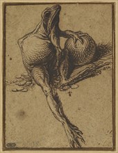 A Frog Sitting on Coins and Holding a Sphere: Allegory of Avarice; Jacques de Gheyn II, Dutch, 1565 - 1629, about 1609; Pen