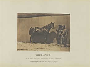 Adolpho; Adrien Alban Tournachon, French, 1825 - 1903, France; 1860; Salted paper print; 16.4 × 22.7 cm, 6 7,16 × 8 15,16 in