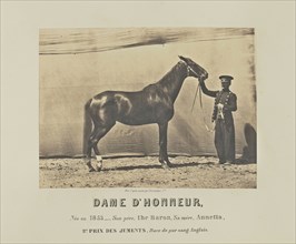 Dame D'Honneur; Adrien Alban Tournachon, French, 1825 - 1903, France; 1860; Salted paper print; 16.5 × 22.3 cm