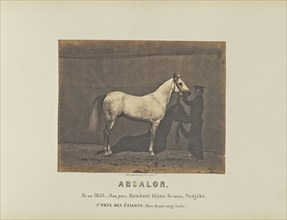 Absalon; Adrien Alban Tournachon, French, 1825 - 1903, France; 1860; Salted paper print; 17.5 × 22.2 cm, 6 7,8 × 8 3,4 in