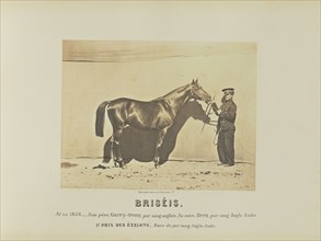 Briséis; Adrien Alban Tournachon, French, 1825 - 1903, France; 1860; Salted paper print; 17.9 × 23.5 cm, 7 1,16 × 9 1,4 in