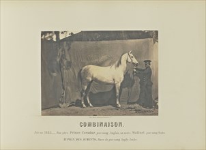 Combinaison; Adrien Alban Tournachon, French, 1825 - 1903, France; 1860; Salted paper print; 16.2 × 22.2 cm, 6 3,8 × 8 3,4 in