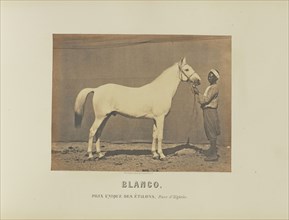 Blanco; Adrien Alban Tournachon, French, 1825 - 1903, France; 1860; Salted paper print; 17.8 × 23.6 cm, 7 × 9 5,16 in