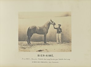 Bien-Aimé; Adrien Alban Tournachon, French, 1825 - 1903, France; 1860; Salted paper print; 17 × 22.2 cm, 6 11,16 × 8 3,4 in