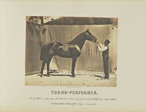 Young-Performer; Adrien Alban Tournachon, French, 1825 - 1903, France; 1860; Salted paper print; 17.7 × 23.7 cm