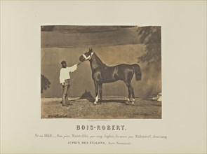 Bois-Robert; Adrien Alban Tournachon, French, 1825 - 1903, France; 1860; Salted paper print; 17 × 22 cm, 6 11,16 × 8 11,16 in
