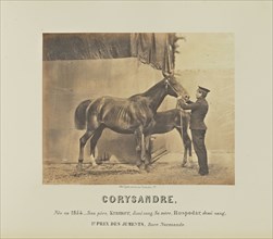 Corysandre; Adrien Alban Tournachon, French, 1825 - 1903, France; 1860; Salted paper print; 17.5 × 22.3 cm, 6 7,8 × 8 3,4 in