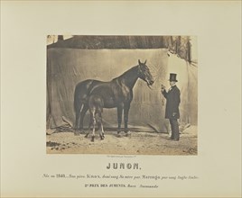 Junon; Adrien Alban Tournachon, French, 1825 - 1903, France; 1860; Salted paper print; 17.4 × 22 cm, 6 7,8 × 8 11,16 in
