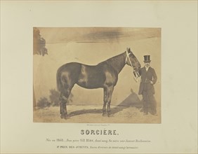 Sorcière; Adrien Alban Tournachon, French, 1825 - 1903, France; 1860; Salted paper print; 17.7 × 23.5 cm, 6 15,16 × 9 1,4 in
