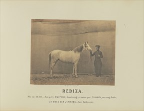 Rebiza; Adrien Alban Tournachon, French, 1825 - 1903, France; 1860; Salted paper print; 16.7 × 21.8 cm, 6 9,16 × 8 9,16 in