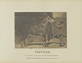 Trotteur; Adrien Alban Tournachon, French, 1825 - 1903, France; 1860; Salted paper print; 16.5 × 23.8 cm, 6 1,2 × 9 3,8 in