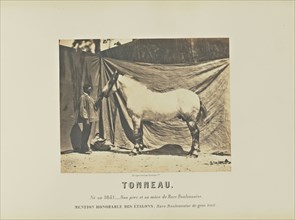 Tonneau; Adrien Alban Tournachon, French, 1825 - 1903, France; 1860; Salted paper print; 17.5 × 22.3 cm, 6 7,8 × 8 3,4 in