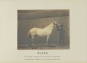 Bijou; Adrien Alban Tournachon, French, 1825 - 1903, France; 1860; Salted paper print; 17.7 × 23.1 cm, 6 15,16 × 9 1,8 in