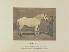 Bijou; Adrien Alban Tournachon, French, 1825 - 1903, France; 1860; Salted paper print; 17.7 × 23.5 cm, 6 15,16 × 9 1,4 in
