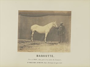 Margotte; Adrien Alban Tournachon, French, 1825 - 1903, France; 1860; Salted paper print; 17.1 × 21.7 cm, 6 3,4 × 8 9,16 in