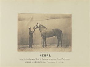 Henri; Adrien Alban Tournachon, French, 1825 - 1903, France; 1860; Salted paper print; 15.8 × 22.2 cm, 6 1,4 × 8 3,4 in
