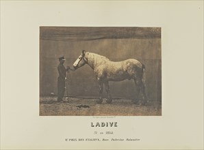 Ladive; Adrien Alban Tournachon, French, 1825 - 1903, France; 1860; Salted paper print; 16.4 × 22.3 cm, 6 7,16 × 8 3,4 in