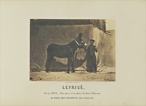 Lefrisé; Adrien Alban Tournachon, French, 1825 - 1903, France; 1860; Salted paper print; 16.2 × 22.3 cm, 6 3,8 × 8 3,4 in