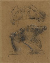 Studies of Horses, after the Elgin marbles, Jean-Baptiste Carpeaux, French, 1827 - 1875, 1871; Black and white chalk